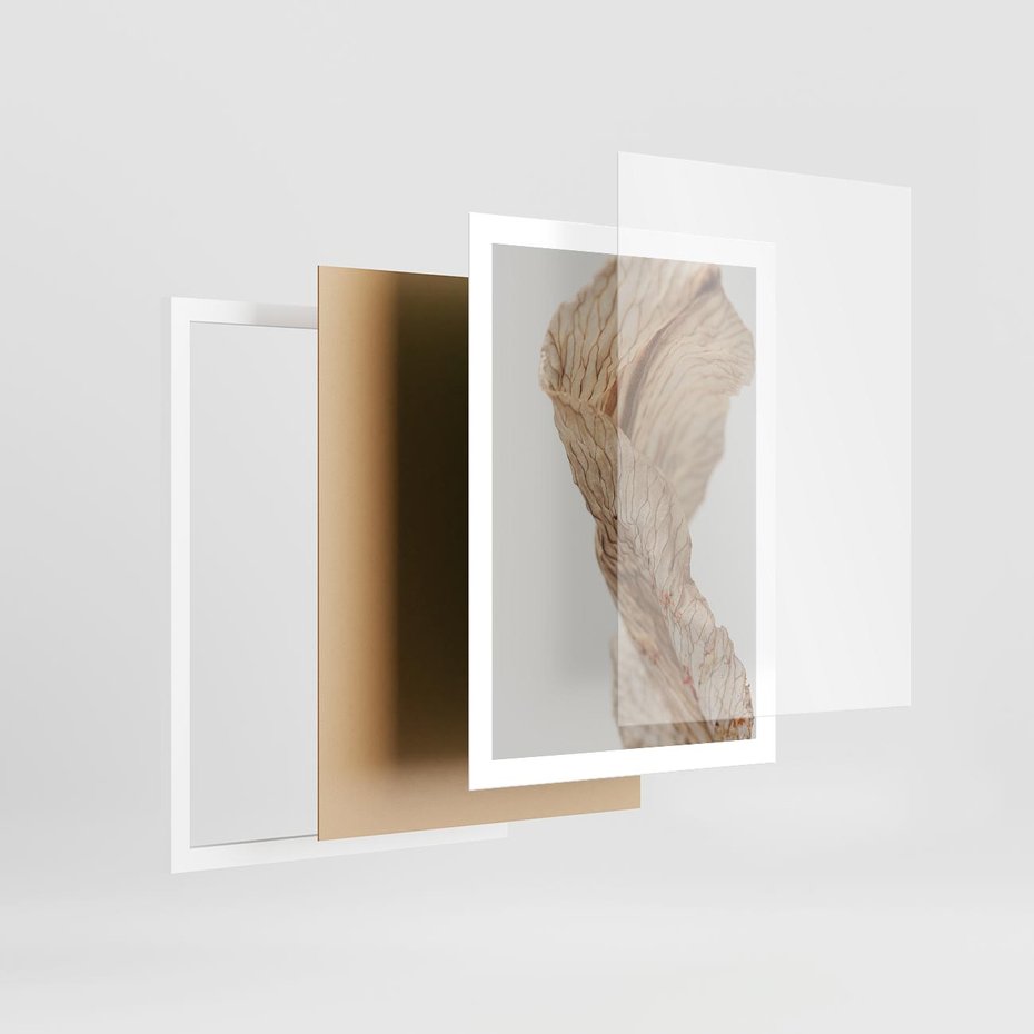 Plakat w ramie 50x70 - Suszone piękno - susz, suche - rama biała