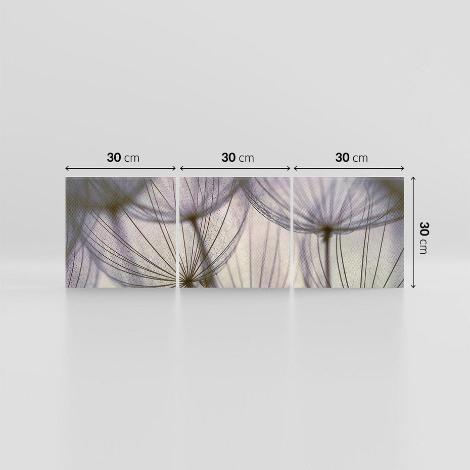 Obraz na płótnie 90x30 - Makro dmuchawiec - piękno drobnych detali - dmuchawce, makro