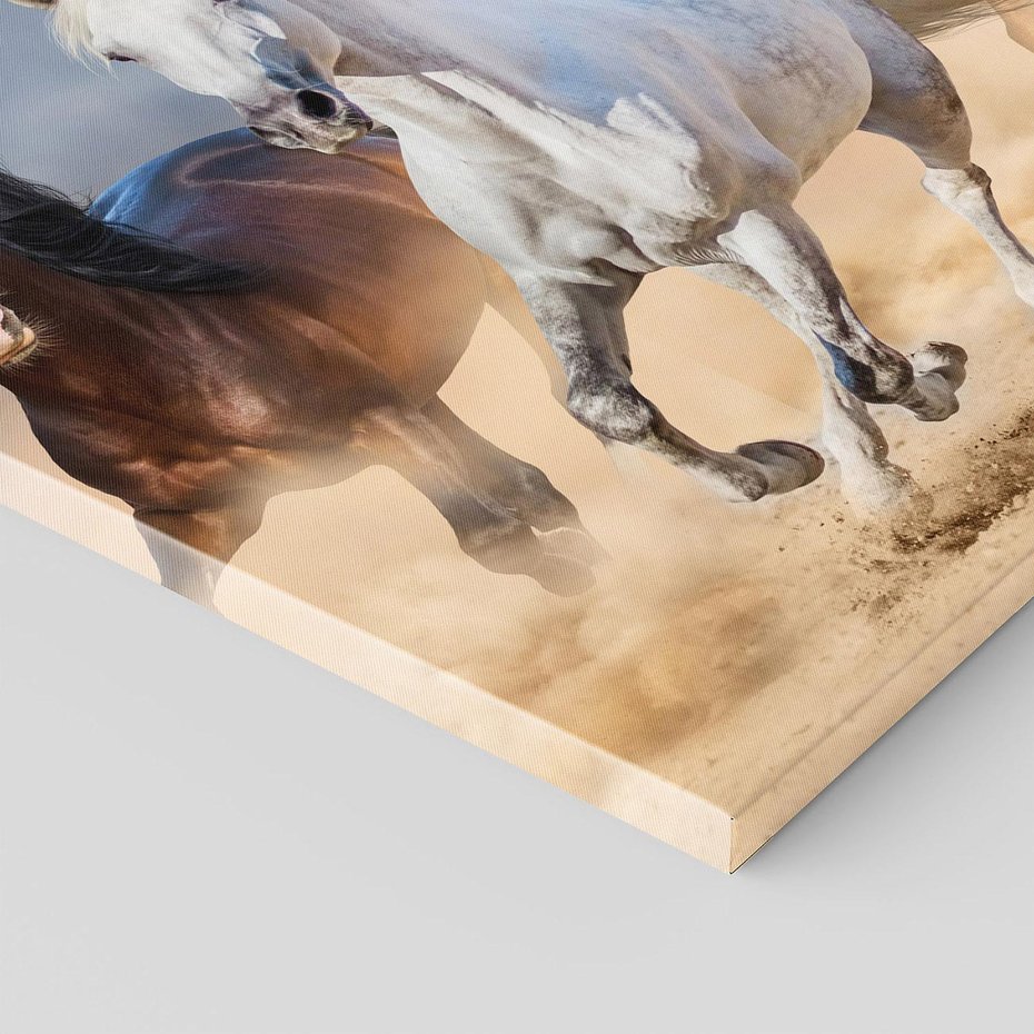 Obraz na płótnie 30x30 - Siła i elegancja - konie, galop