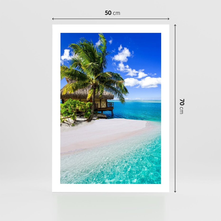 Plakat bez ramy 50x70 - Zaklęte palmy tropików - palmy, ocean