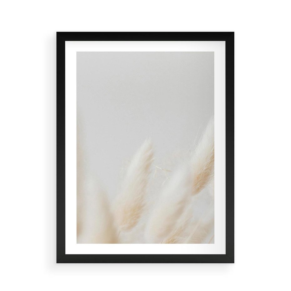 Plakat w ramie 50x70 - Biały Spokój - białe trawy, suche trawy pampas - rama czarna