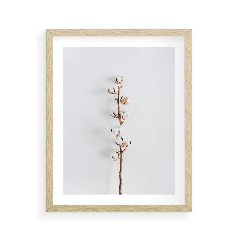 Plakat w ramie 40x50 - Minimalistyczna Gałązka Bawełny - bawełna, gałązka bawełny - rama drewno