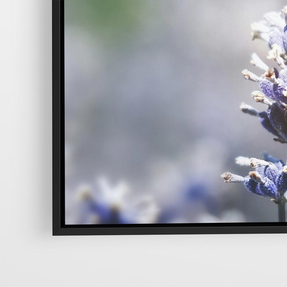 Obraz w ramie 100x70 - Delikatna Uroda Natury - wrzosy, fiolet - rama czarna