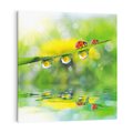 Obraz na płótnie 50x50 - Deszczowa Biedronka - biedronka, deszcz