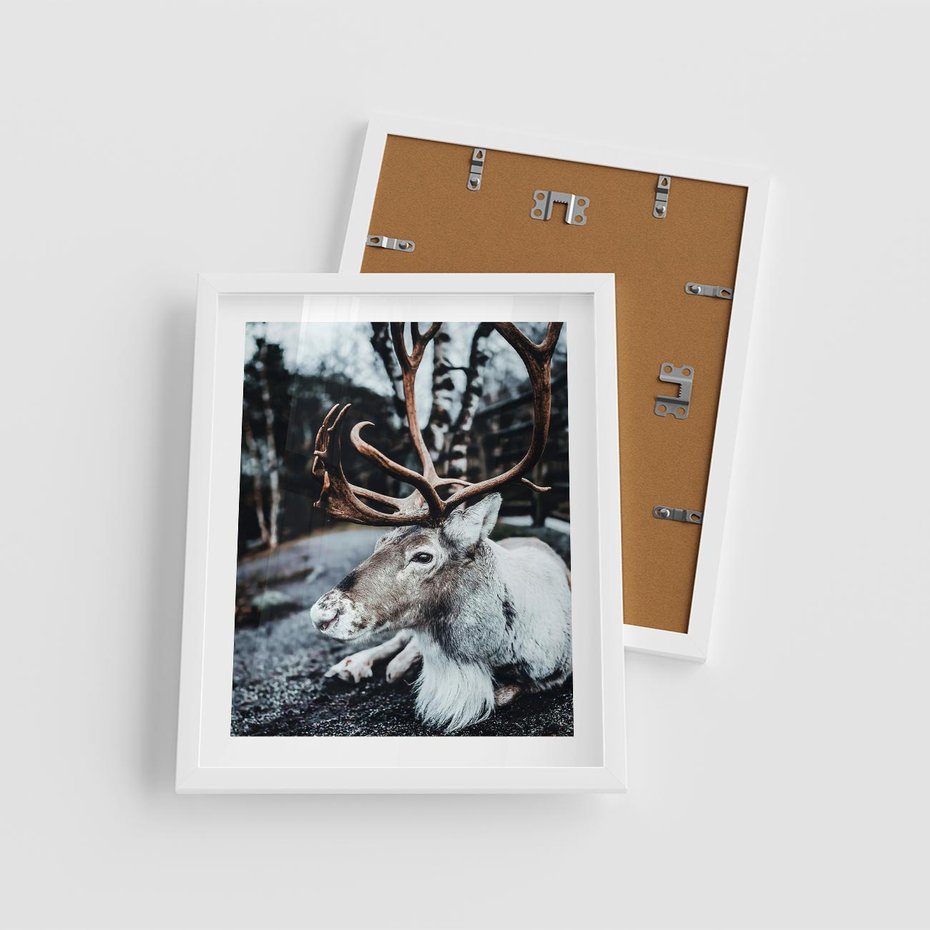 Plakat w ramie 40x50 - W Zimowej Krainie - renifer, zima - rama biała