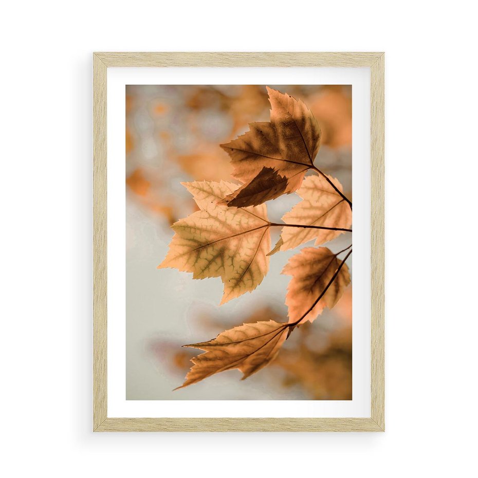 Plakat w ramie 50x70 - Magia Jesieni - liście, jesień - rama drewno