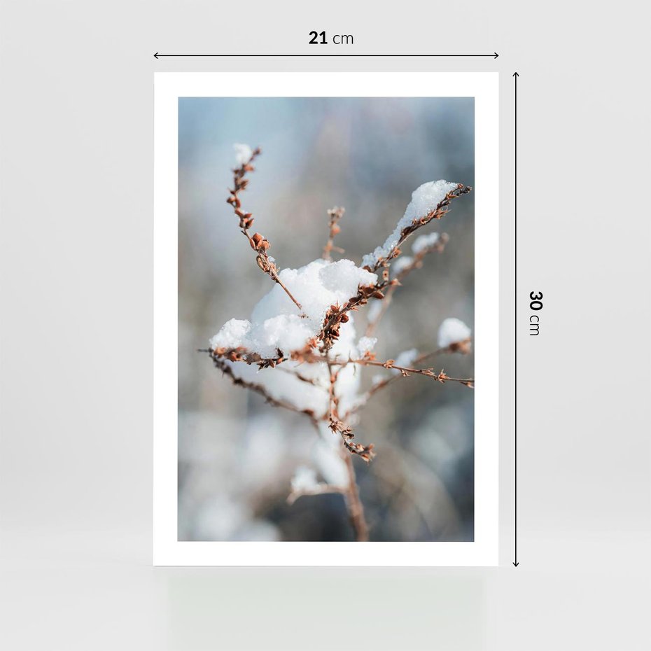 Plakat bez ramy 21x30 - Zimowy Urok Natury - gałązki pod śniegiem, natura