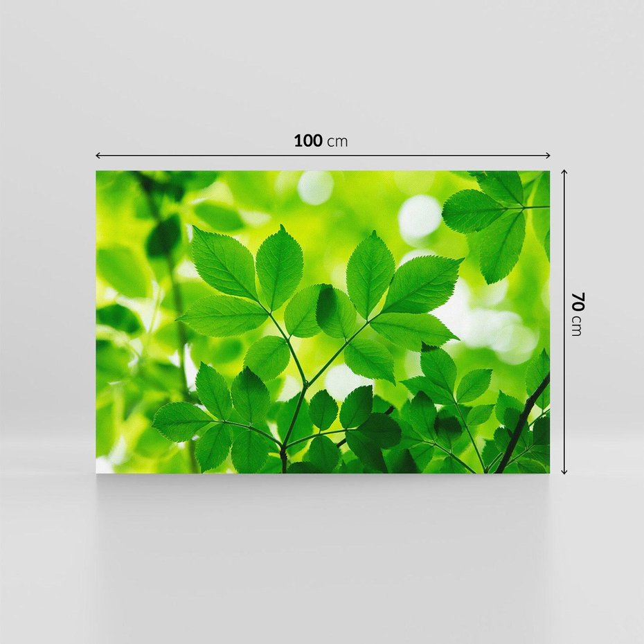 Obraz na płótnie 100x70 - Magia liści - liście, drzewo