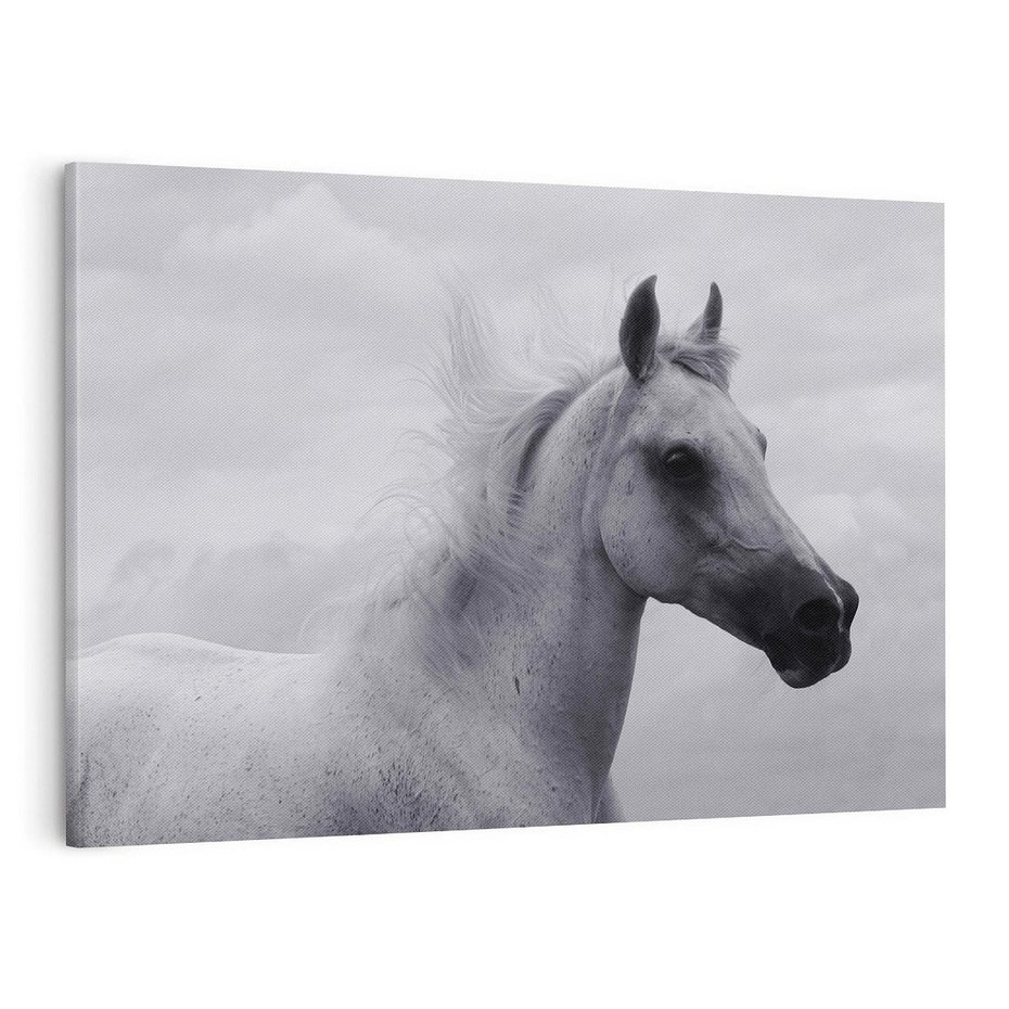 Obraz na płótnie 100x70 - Moc i Wolność - czarno biała fotografia, biały