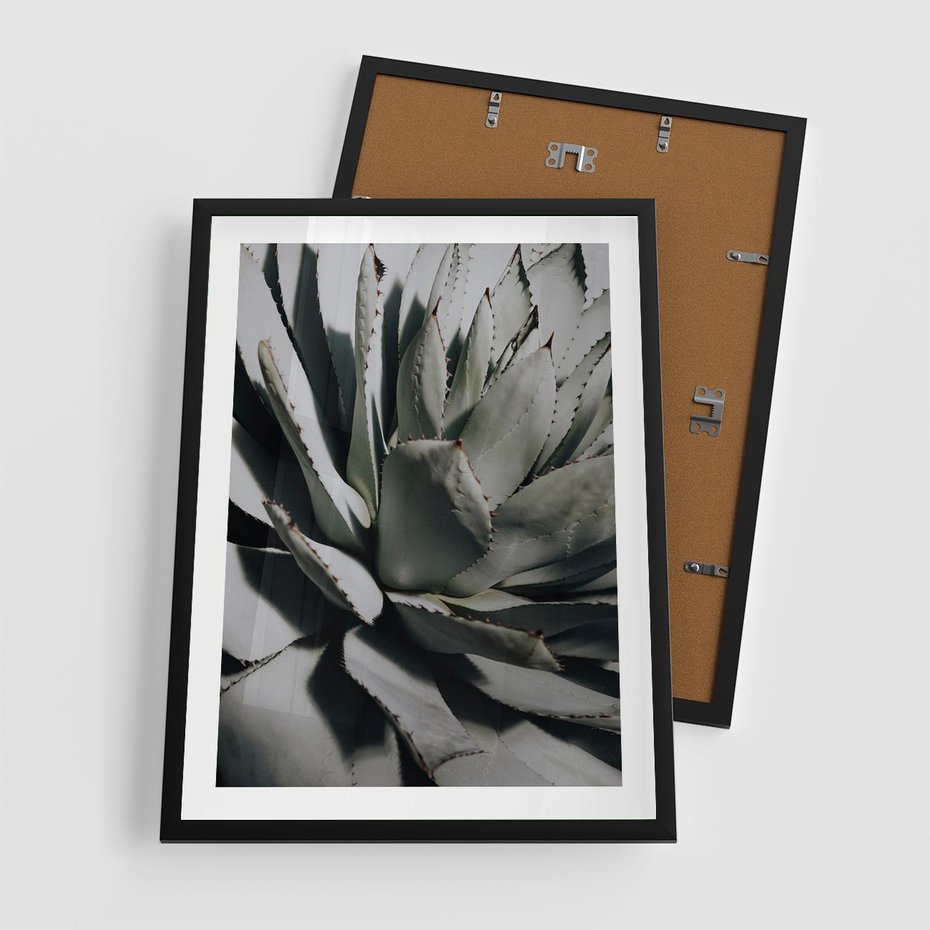 Plakat w ramie 50x70 - Sukulenty wśród kaktusów - sukulenty, kaktusy - rama czarna