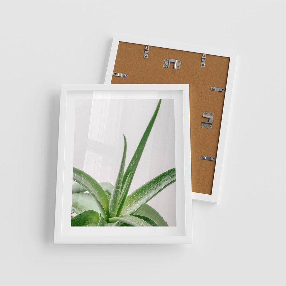 Plakat w ramie 40x50 - Zielone Piękno - aloes, liście - rama biała