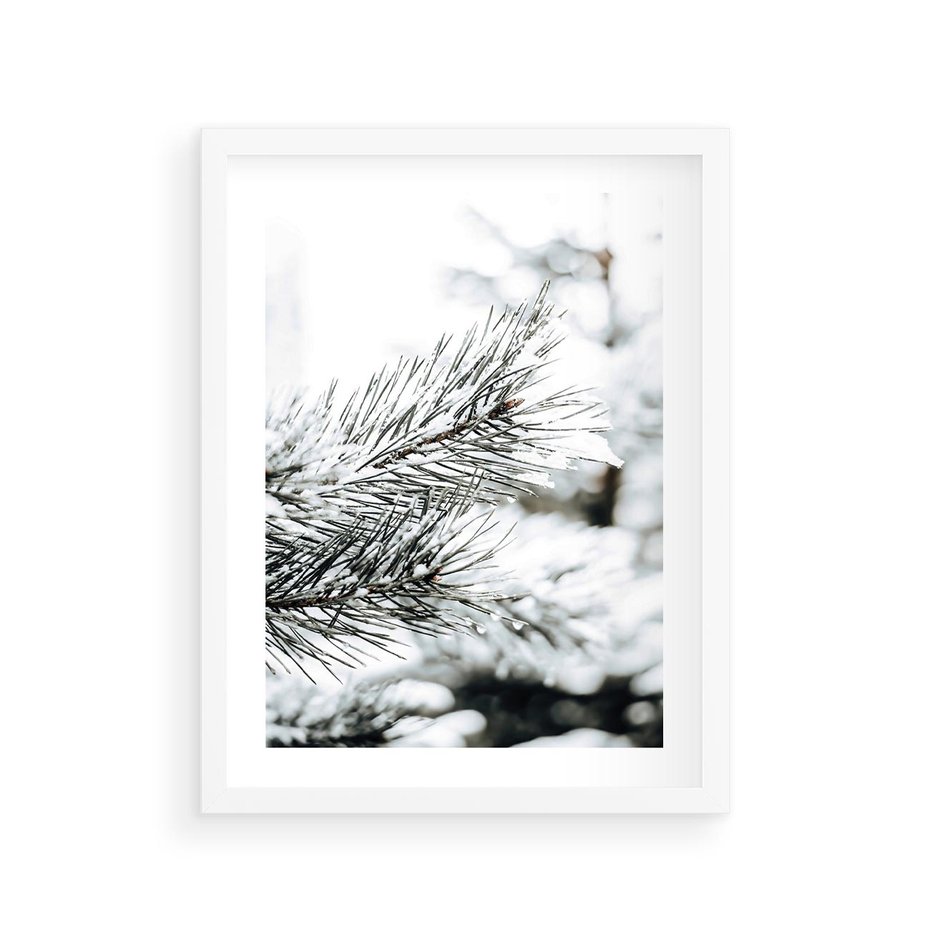 Plakat w ramie 30x40 - Chwila Zimowej Magii - iglasta gałązka, śnieg - rama biała