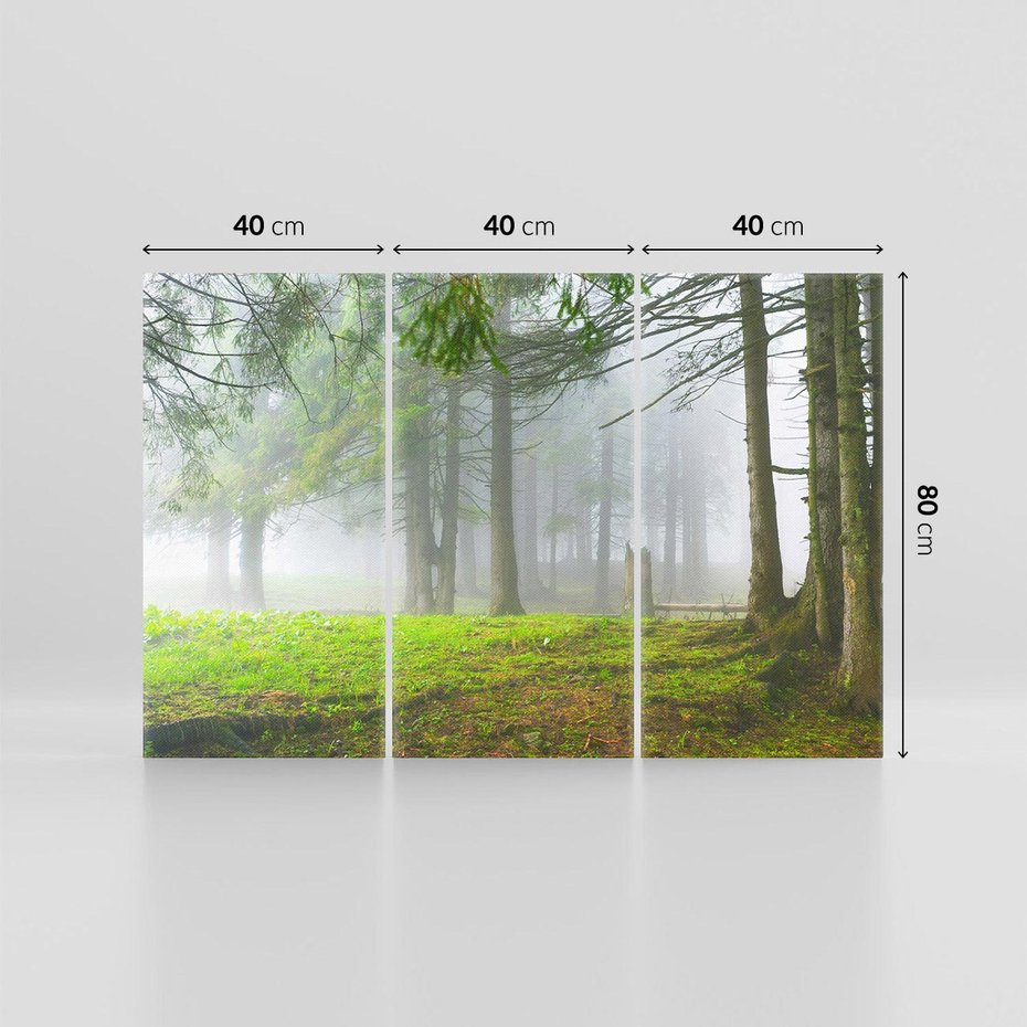 Obraz na płótnie 120x80 - Drzewa w harmonii - las, drzewa