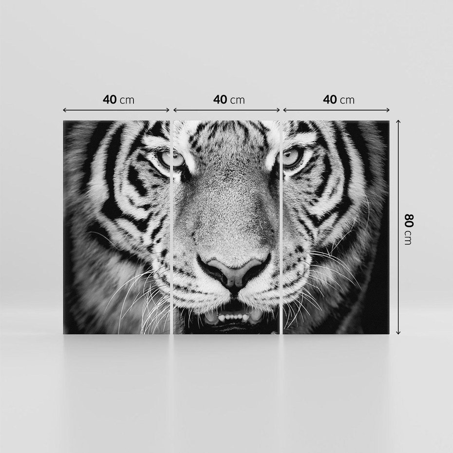 Obraz na płótnie 120x80 - Tygrys Czarno-Biały: Siła i Delikatność - tygrys, czarno