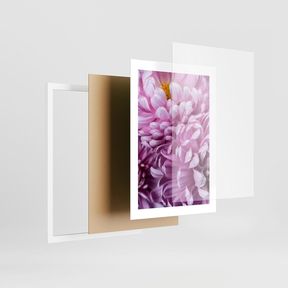 Plakat w ramie 30x40 - Fioletowy zawrót głowy - kwiat, różowy kwiat - rama biała