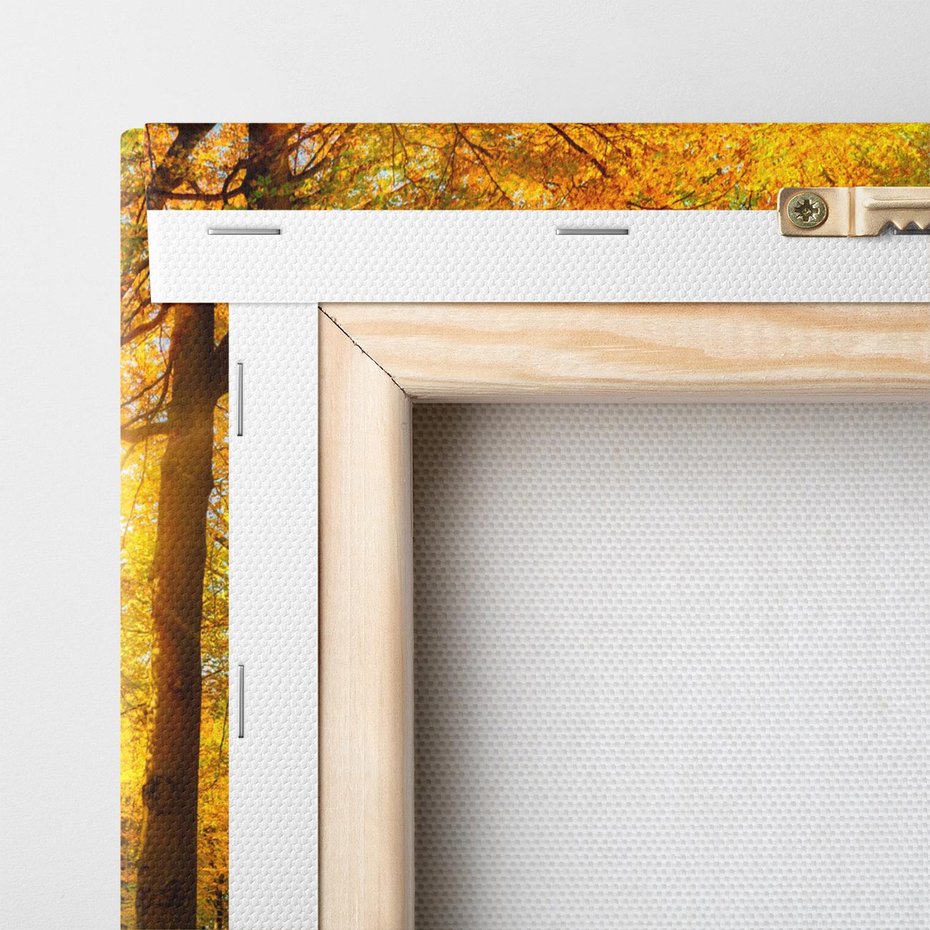 Obraz na płótnie 40x40 - Urok jesiennego lasu - las, drzewa