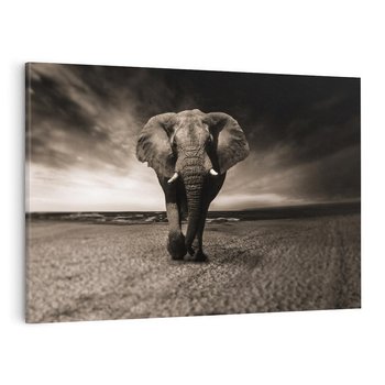 Obraz na płótnie 100x70 - Słoń - Wielki Przyjaciel Morza - słoń, plaża