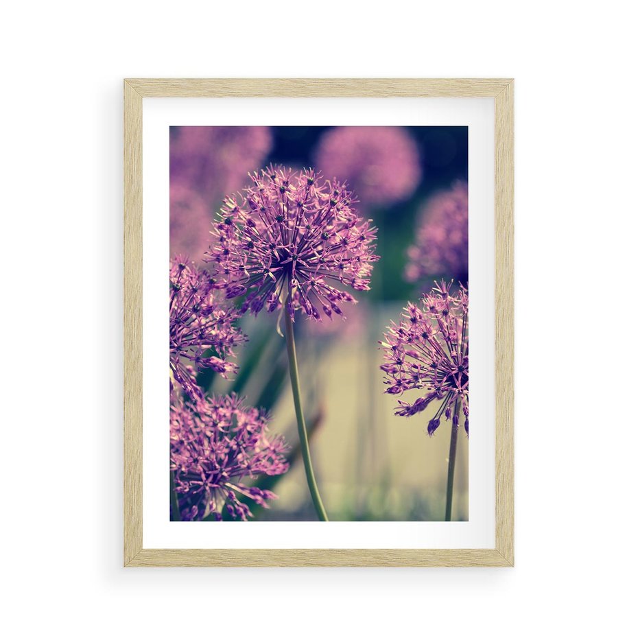 Plakat w ramie 40x50 - Kwiatowa łąka w pełnym rozkwicie - kwiaty, łąka - rama drewno