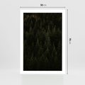 Plakat bez ramy 50x70 - Ciemny las iglasty - las, iglasty