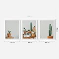 Zestaw obrazy w ramie 50x70 galeria - Kaktusy, w, doniczkach, boho - rama biała