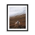 Plakat w ramie 40x50 - Owiecka panorama - góry, owca - rama czarna
