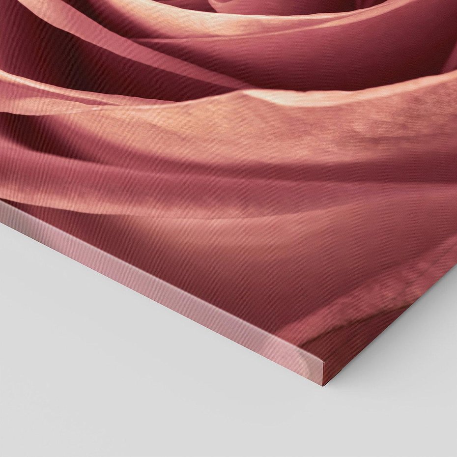 Obraz na płótnie 140x70 - Romantyczna Róż - róża, kwiat