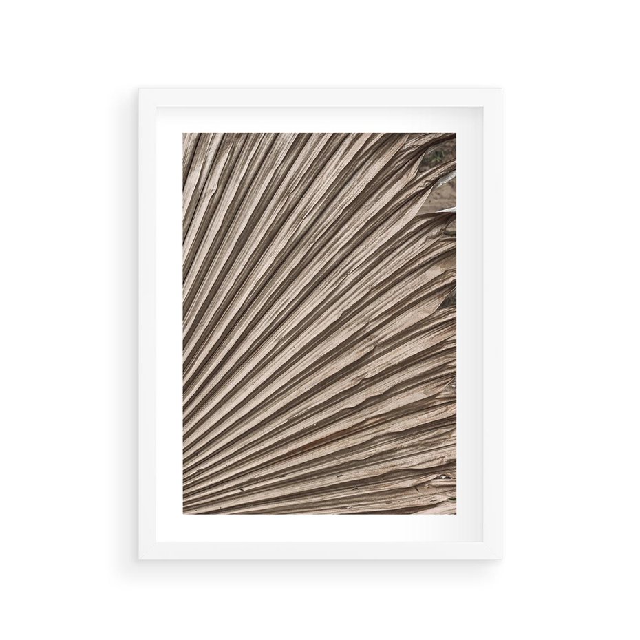 Plakat w ramie 30x40 - Liść Palmy w Wyjątkowej Kompozycji - suchy liść palmy, boho styl - rama biała