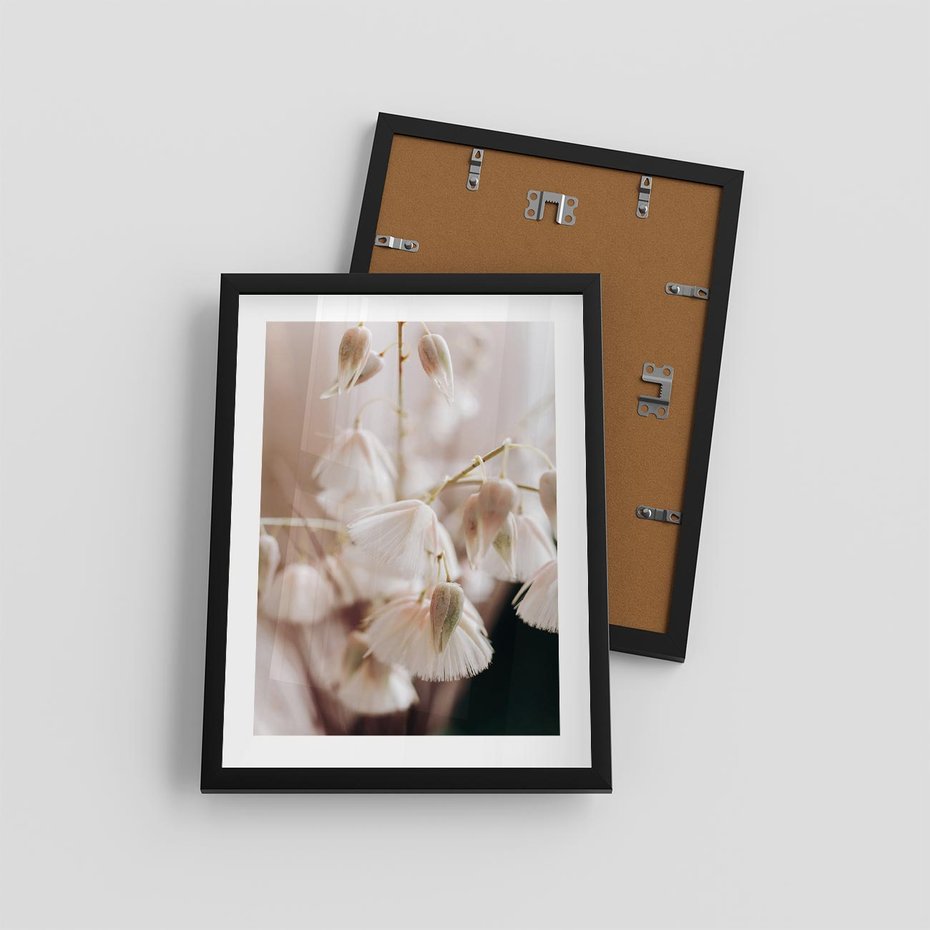 Plakat w ramie 30x40 - Suszona Delikatność - suszone kwiaty, rośliny - rama czarna