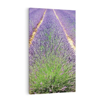 Obraz na płótnie 70x100 - Lawendowy kwiat - lawenda, kwiat