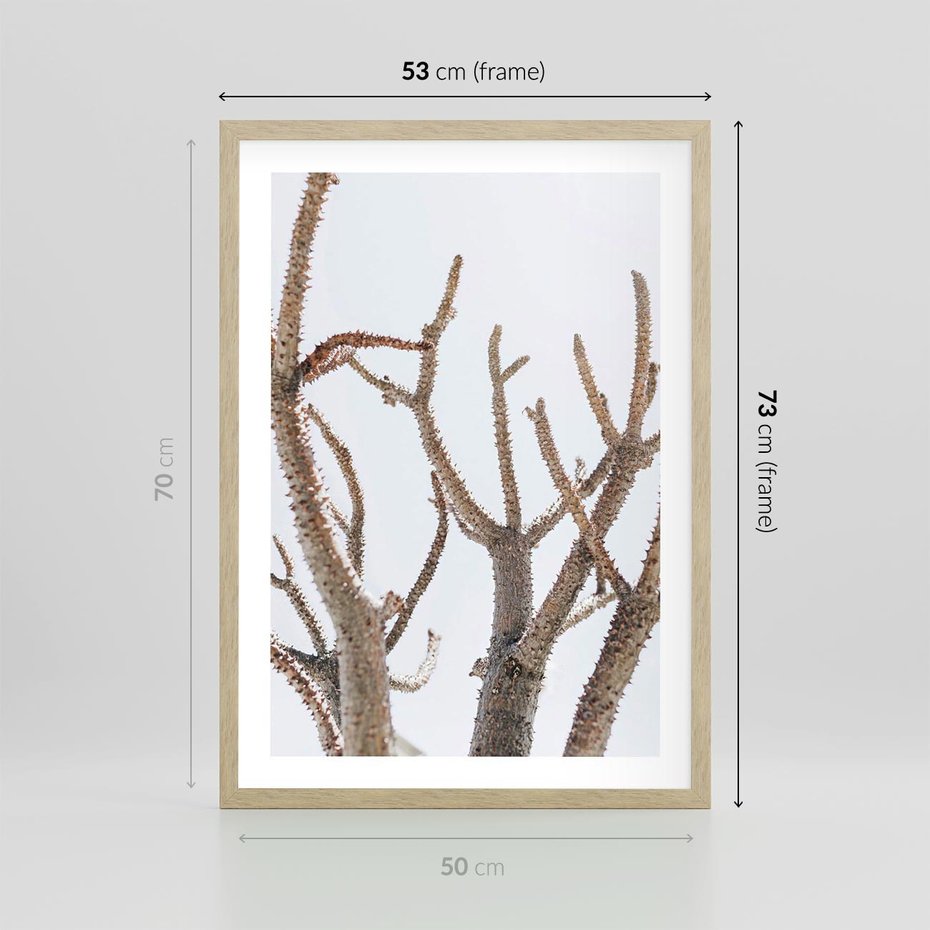 Plakat w ramie 50x70 - Pustynna Harmonia Gałęzi - pustynna roślina, suche gałęzie - rama drewno