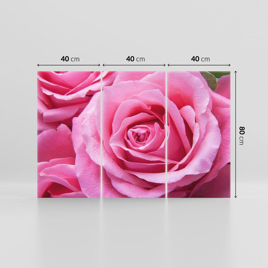 Obraz na płótnie 120x80 - Róża Wspaniałości - róża, kwiat