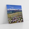 Obraz na płótnie 60x60 - Wiosenne Czarowanie - krokusy, góry