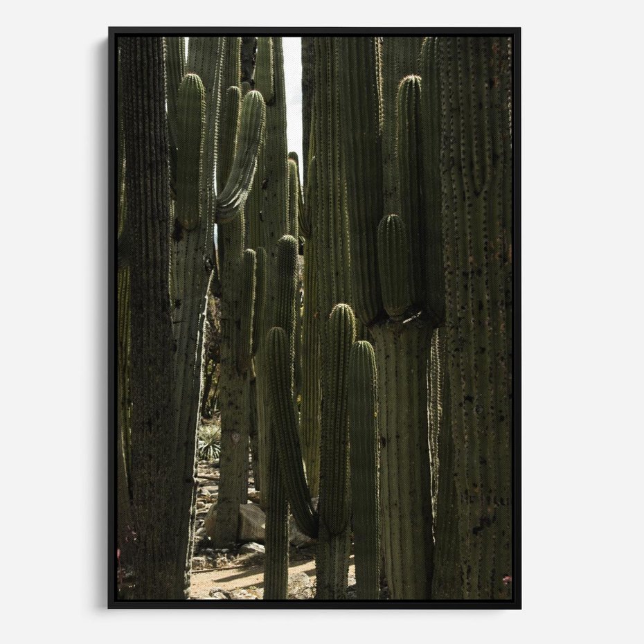 Obraz w ramie 50x70 - Wyjątkowy Klimat Boho - kaktusy, pustynia - rama czarna