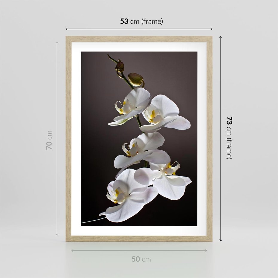 Plakat w ramie 50x70 - SPA: harmonia z kwiatami - spa, kwiaty - rama drewno