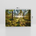 Obraz na płótnie 100x70 - Obfitość natury - las, drzewa