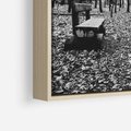 Obraz w ramie 80x120 - Spadające Liście - czarno białe zdjecie, park - rama drewno