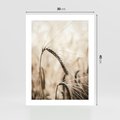 Plakat bez ramy 30x40 - Źdźbło Pszenicy: Blisko Natury - źdźbło pszenicy, pszenica