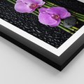 Plakat w ramie 30x40 - Japońskie Spa w Otoczeniu Storczyków - storczyk, spa - rama czarna