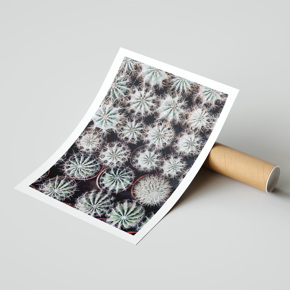 Plakat bez ramy 21x30 - Wzór Kaktusów - kaktusy w doniczkach, ujęcie z góry