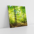 Obraz na płótnie 30x30 - Drzewa w harmonii - las, drzewa