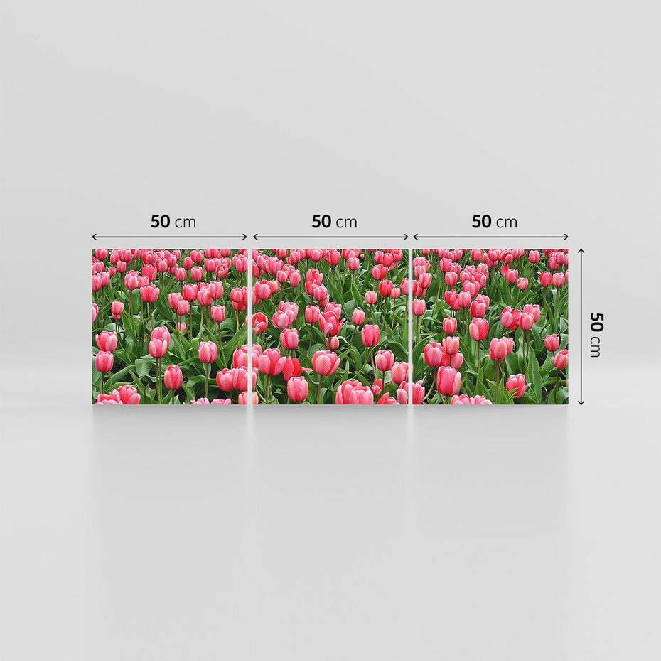 Obraz na płótnie 150x50 - Tulipanowe Elegancja - tulipany, kwiat