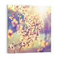 Obraz na płótnie 50x50 - Kwiatowa Wiosna - kwiaty, wiosna