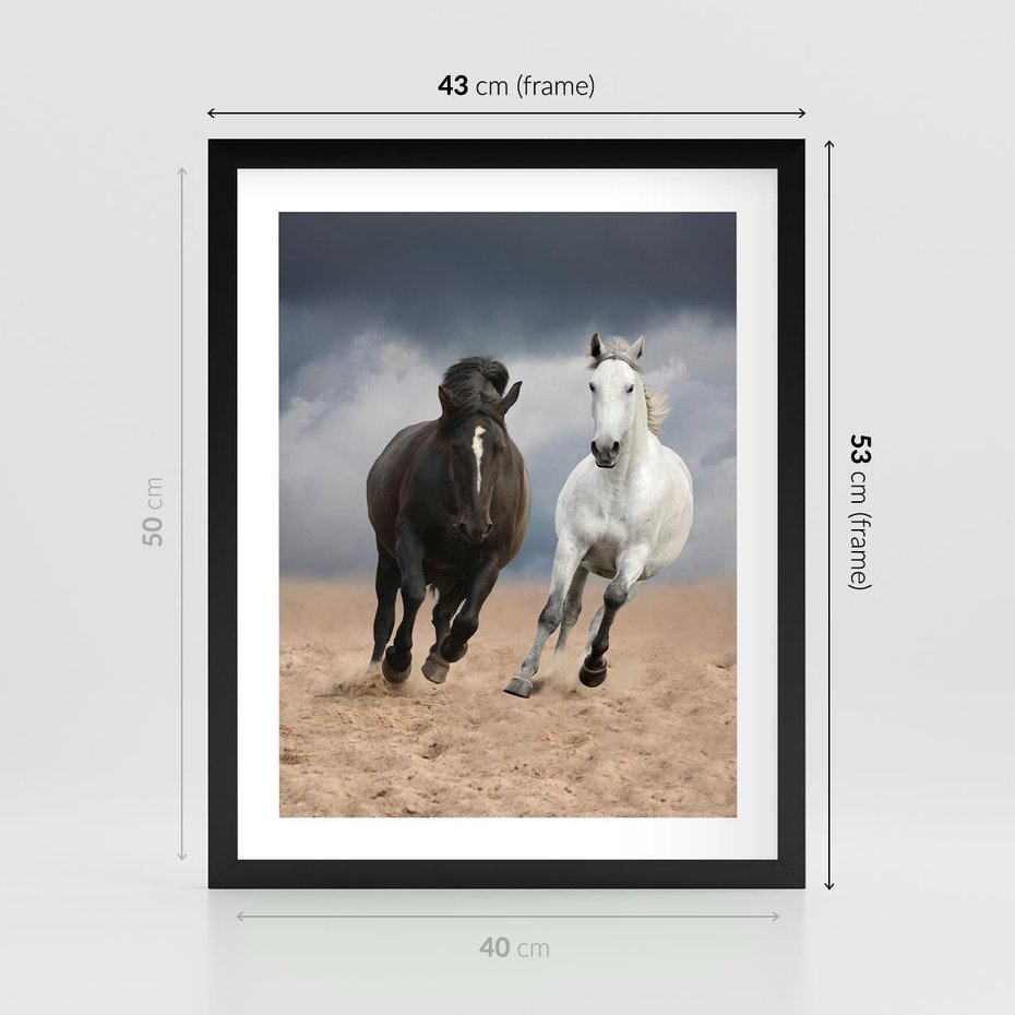 Plakat w ramie 40x50 - Siła koni w galopie - konie, galop - rama czarna