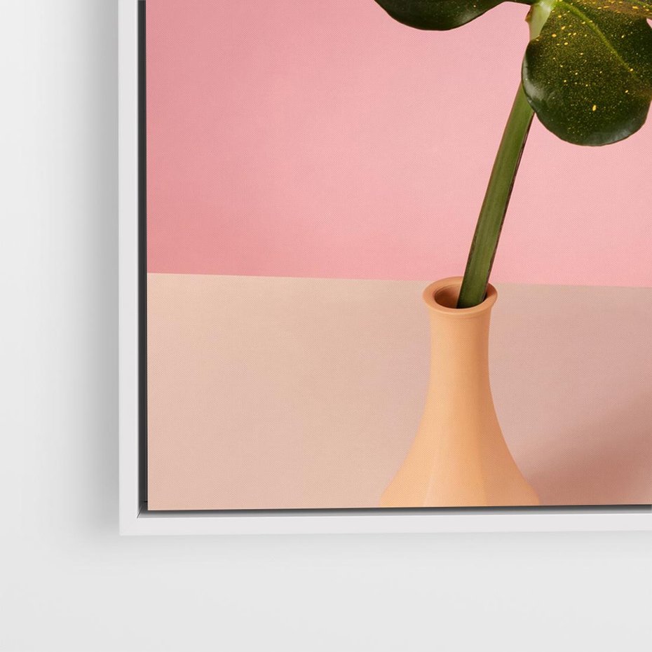 Obraz w ramie 50x50 - Egzotyczna monstera - monstera, liść - rama biała