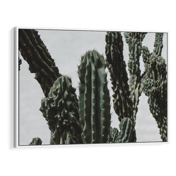 Obraz w ramie 100x70 - Boho oaza wśród kaktusów - kaktusy, pustynia - rama biała