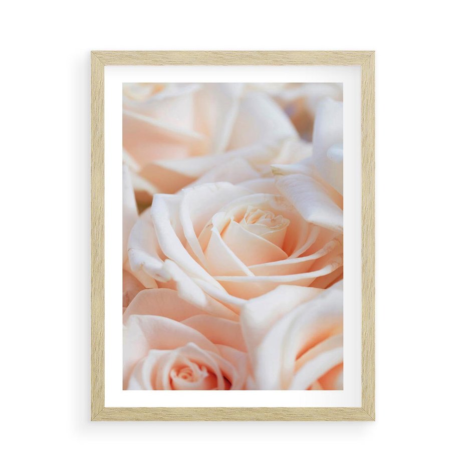 Plakat w ramie 50x70 - Aromatyczna Piękność - płatki herbacianej róży, kwiaty - rama drewno