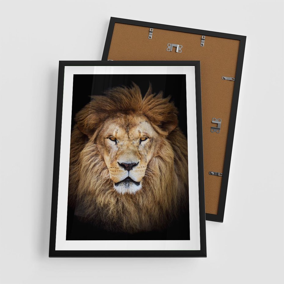 Plakat w ramie 50x70 - Król zwierząt w majestatycznym stylu - lew, król - rama czarna