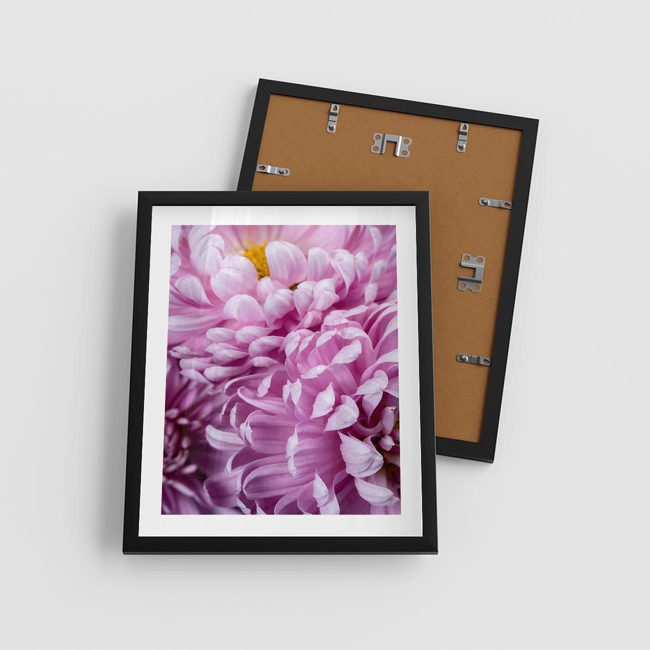 Plakat w ramie 40x50 - Fioletowy zawrót głowy - kwiat, różowy kwiat - rama czarna