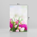 Obraz na płótnie 50x70 - Tulipany w pełnym rozkwicie - tulipany, kwiaty