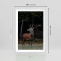 Plakat w ramie 50x70 - Spotkanie z naturą - jeleń, las - rama biała